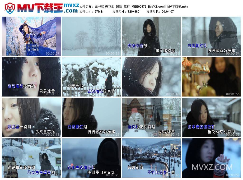 张书瑶-梅花泪_国语_流行_MEE00573